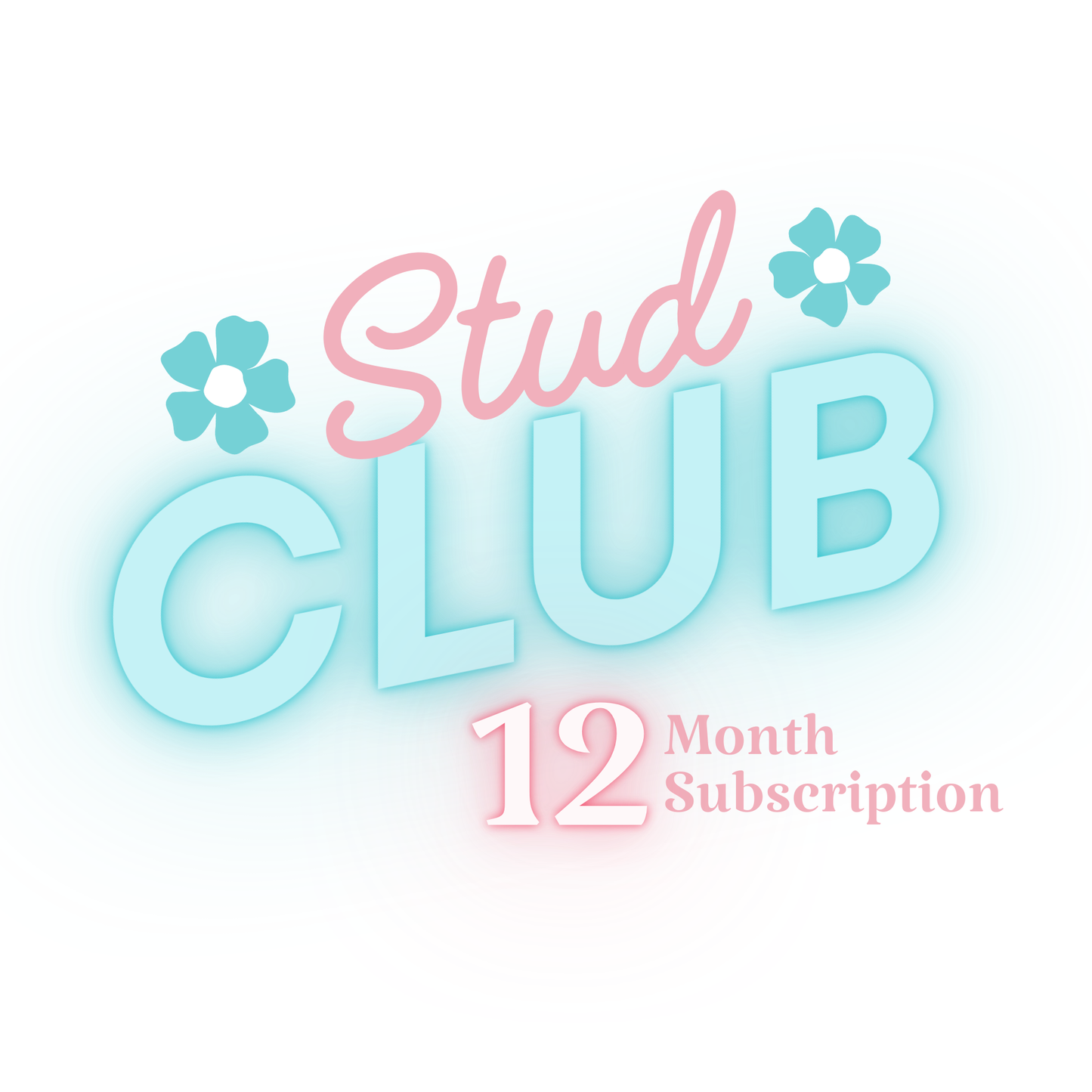 Silver Stud Club - 12 Month Prepay