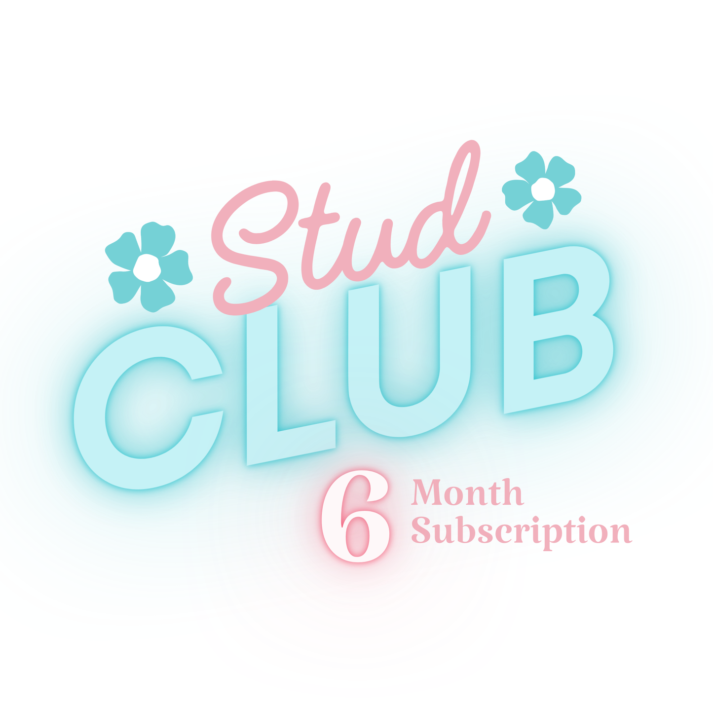 Silver Stud Club - 6 Month Prepay